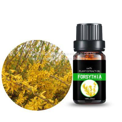 Forsythia Oil Aromatherapy Essential Oil Pure Natural Fragrance Oil