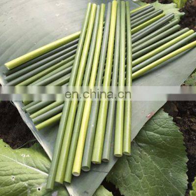 100% Natural Eco Friendly Grass Drinking Straws/ Biodegradable Grass Drinking Straws Best Price From Vietnam photo-4
