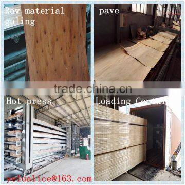 H20 /H16 Formwork Beam Used in Construction photo-4
