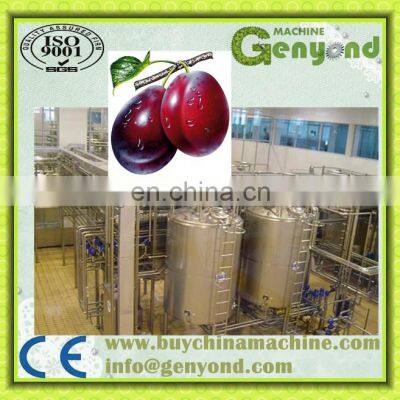 Widely Used Fresh Prune Juice Manufacture Line / Prune Juice Making Plant photo-5