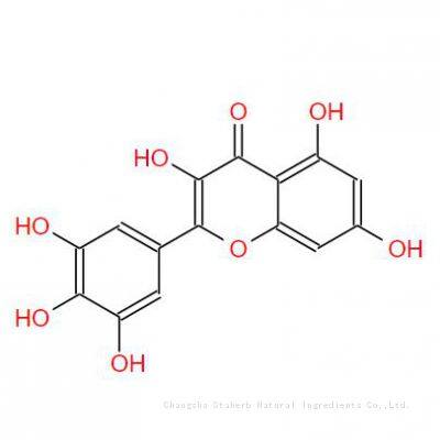 Find Complete Details About High Purity Myricetin/cas:529-44-2 photo-2