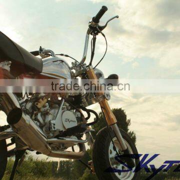 SKYTEAM 125cc 4 Stroke SKYMINI Monkey Motorcycle (EEC EUROIII EURO3 APPROVED) photo-3