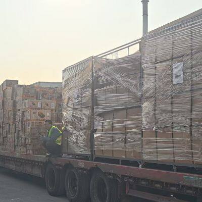 China to Tashkent Uzbekistan Truck Transportation Service - Central Asia Land Freight Logistics