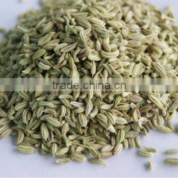 Fennel Seeds / Jintan Manis