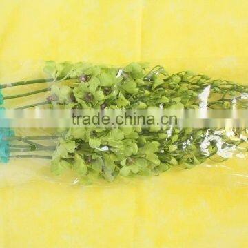 Color OEM kunming orchids