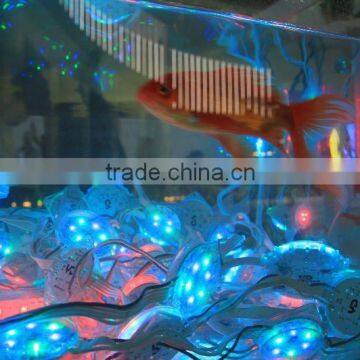 Hot Products Waterproof IP68 CE FCC Approved Outdoor Led Smd 5050 photo-3