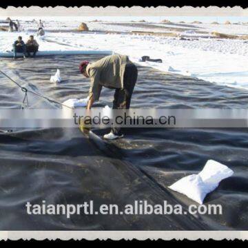 HDPE Black Geomembrane for Landfill 1.0mm/27Mpa Lowest Price photo-6
