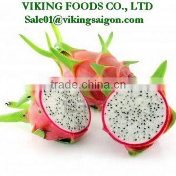 WHITE DRAGON FRUIT _ GOOD QUALITY _ GOOD PRICE photo-5