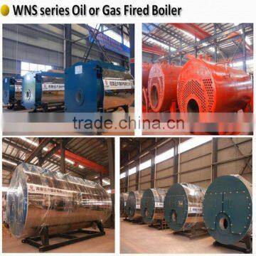 Steam Boiler for Processing and Preserving of Fruit and Vegetables