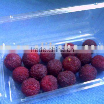 fruit packaging box