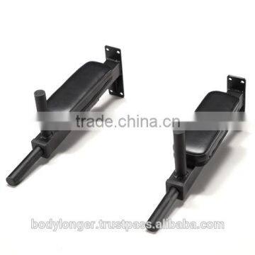 WALL MOUNT DIPPING BAR/ Gym Equipment/ Rack