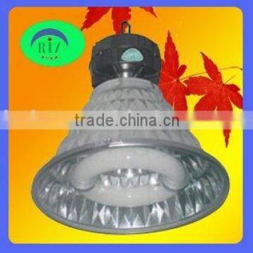 Industrial lamp fitting with induction light