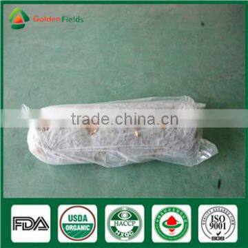 Organic Shiitake Nutritious and Medicinal Edibal Mushroom Lentinula Edodes photo-2