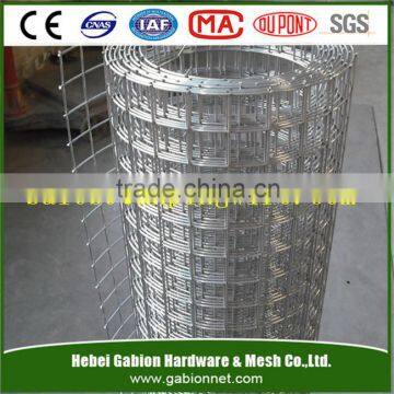 3/4x3/4" welded wire mesh roll factory