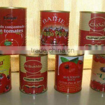 800g tinned tomato puree with brix 28%~30% supplier in china