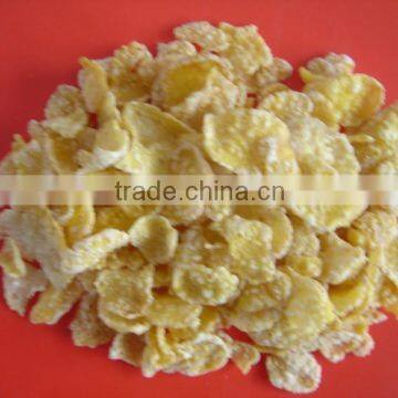 Hot Sale Corn Flakes Snack Food Production Line photo-4