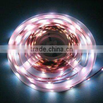 DC12V IP67 SMD 5050 LED flexible strip (SC-D902D)