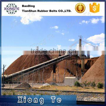 Ep200 Oil-Resistant Conveyor Belt / Rubber Belt photo-3