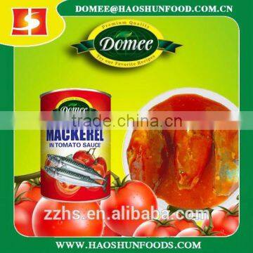 Canned Mackerel in Tomato Sauce Hot Item