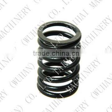 Valve Spring