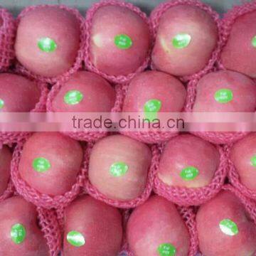 Famous Apples photo-6