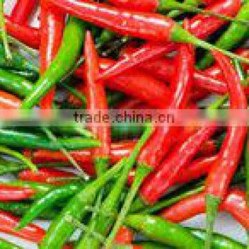 Fresh FRESH RED/GREEN CHILI