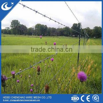 Hot dipped galvanized high quality barbed wire with low price