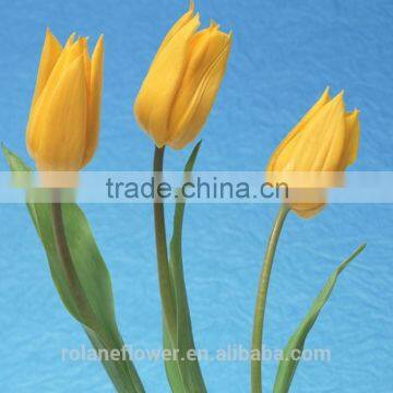 colorful natural yellow tulip flower to delievery all over the word