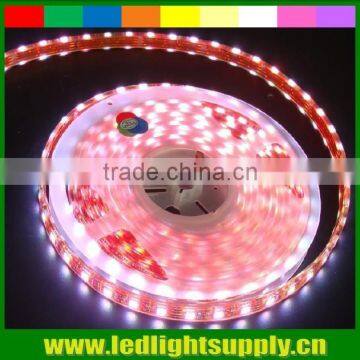 Low voltage SMD5050 high intensity IP65 waterproof waterproof flexible 12v led strip lights