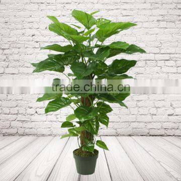 Artificial Pothos Plants On Coconut Pole