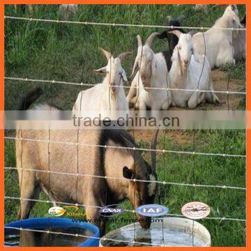 Edge Wire 2.0mm The Inner Wire is 1.8mm Farm Fence / Cattle Fence Netting / Grassland Fence Cheap Farm Fence