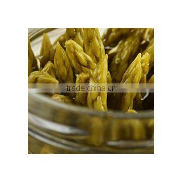 Best Taste Canned Green Asparagus with Factory Price