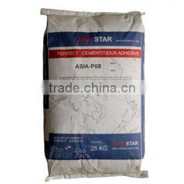 Mortar /Tile adhesive P08