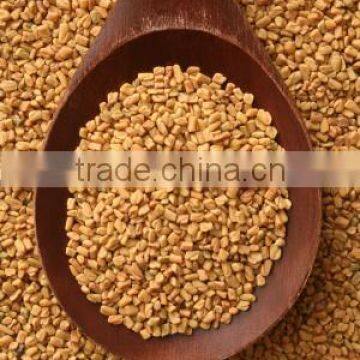 Indian Spices