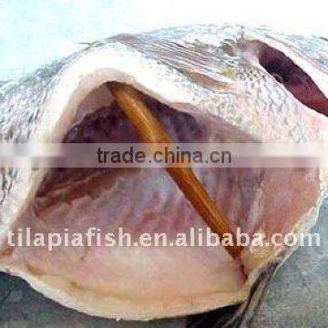 Low-price G/S Frozen Tilapia