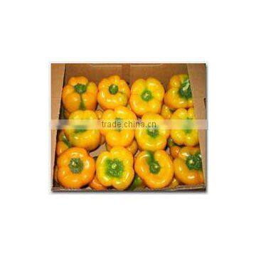 yellow pepper