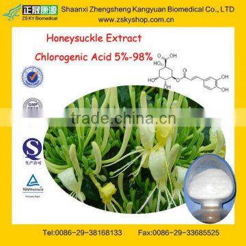 GMP Factory Supply Natural Japanese Honeysuckle Flower Bud Extract