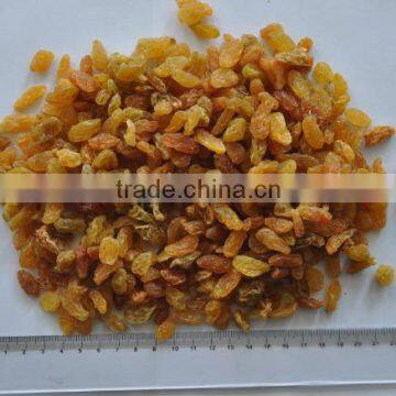 golden raisins