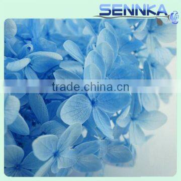 2016 Top Quality Real Touch Blue Wholesale Preserved Flower Hydrangea for Wedding Decoration