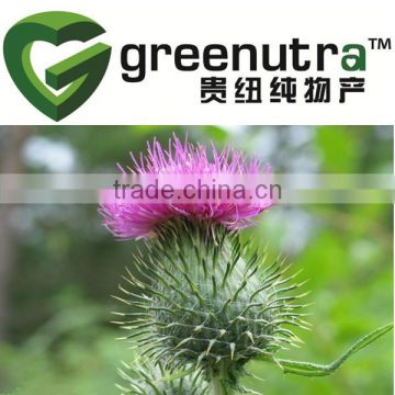 Silybum Marianum Extract