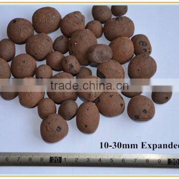 Garden Expanded Clay Pebbles as Growimg Medium for Hydro-culture