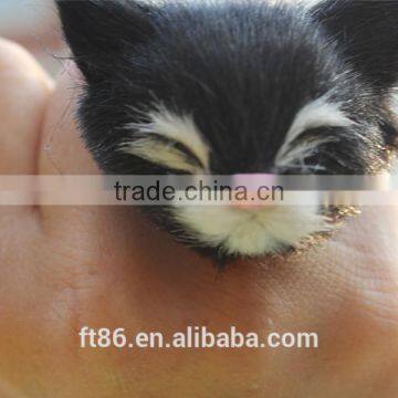 Animal Rabbit Artificial Cat Animal Head Rings