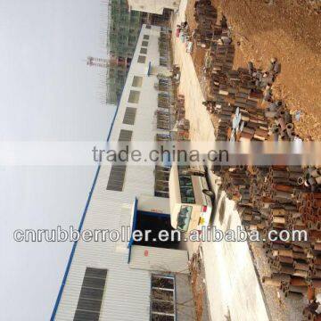 Paddy Rice Processing Equipment Roller Broken Rice photo-4