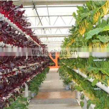 Greenhouses For Vegetables