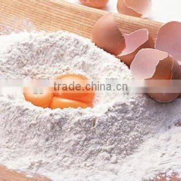 China Promotional Double Speed 20L Dough Mixer photo-4