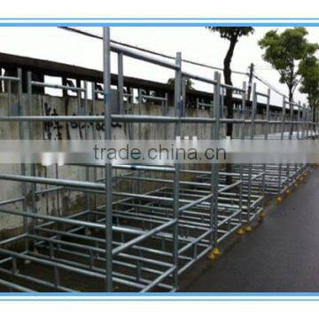 Galvanized Steel Tube for Scaffolding photo-3