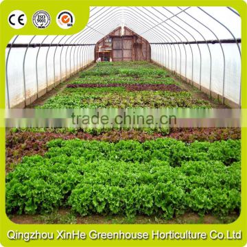 Customized Agricultural Tunnel Greenhouse