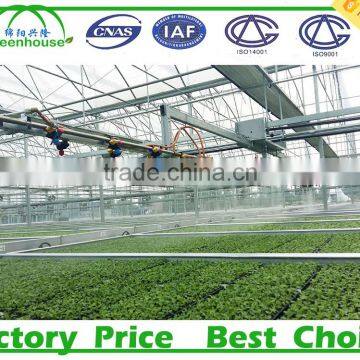 Commercial Metalic Greenhouse photo-2