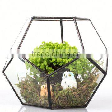 Yiwu Direct Wholesale,cheap Price Cacti Holder Case & Glass Terrarium Diamond photo-3