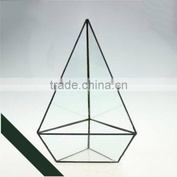 Three drilling (in) triangle glass greenhouse geometry stereo fleshy moss micro ecological container